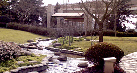park.jpg